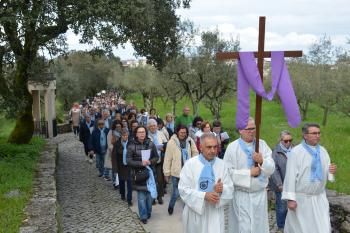 PEREGRINAÇÃO NACIONAL DOS AMIGOS DO VERBO DIVINO 2026