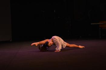 PEREGRINAÇÃO NACIONAL DOS AMIGOS DO VERBO DIVINO 2026