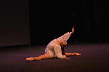 PEREGRINAÇÃO NACIONAL DOS AMIGOS DO VERBO DIVINO 2026