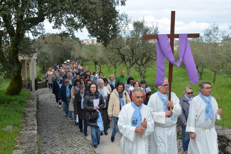PEREGRINAÇÃO NACIONAL DOS AMIGOS DO VERBO DIVINO 2026