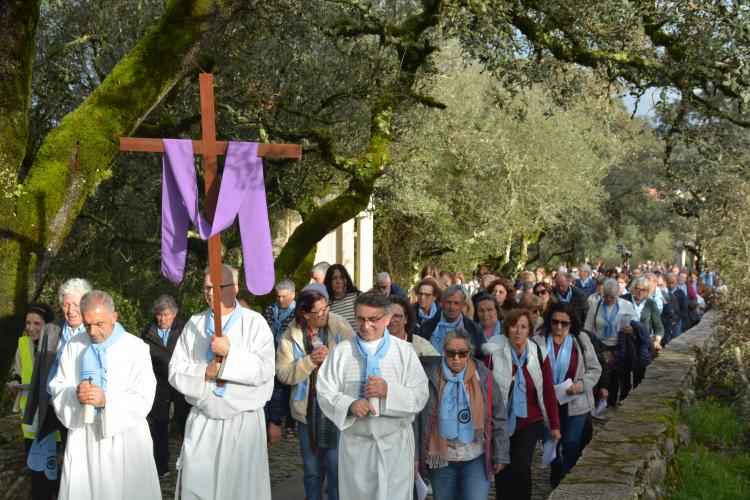 PEREGRINAÇÃO NACIONAL DOS AMIGOS DO VERBO DIVINO 2026