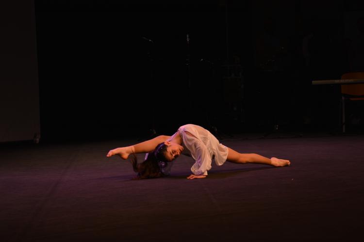 PEREGRINAÇÃO NACIONAL DOS AMIGOS DO VERBO DIVINO 2026